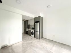 Affinity At Serangoon (D19), Apartment #521026411